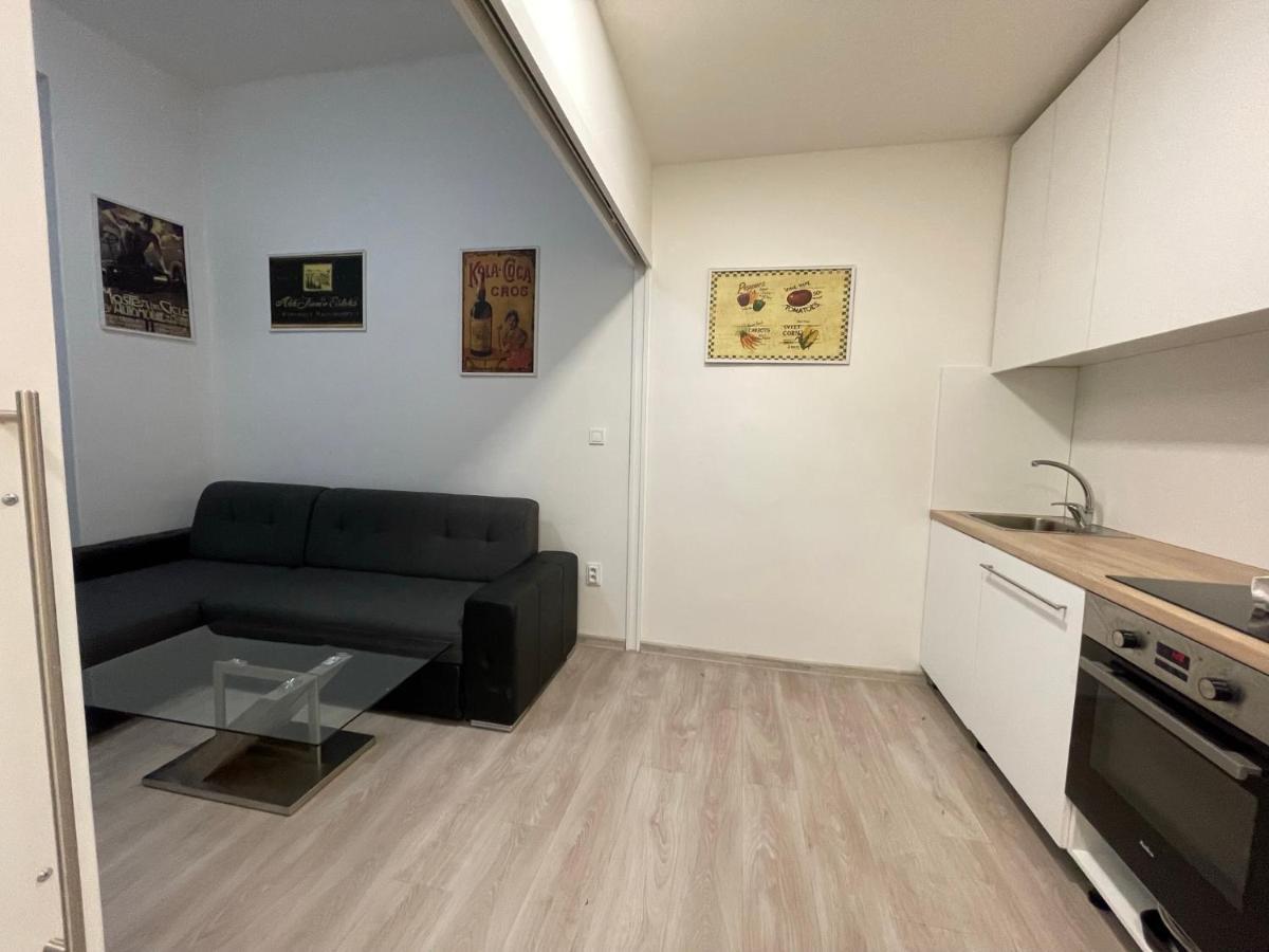 Vintage Apartment Ostrava Center City Екстер'єр фото