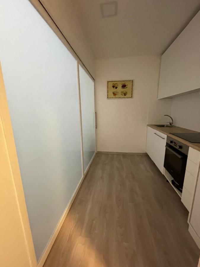 Vintage Apartment Ostrava Center City Екстер'єр фото
